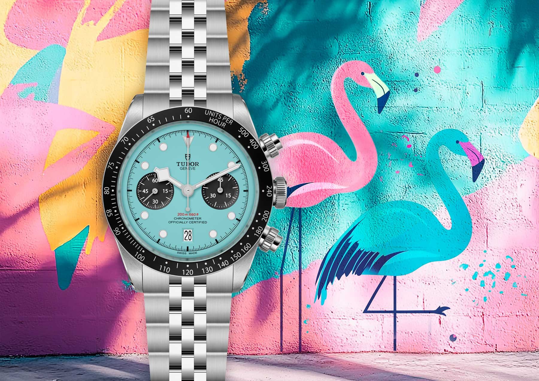 Părere Îndrăzneață Tudor Lansează O Versiune Flamingo Blue A Ceasului Black Bay Chrono